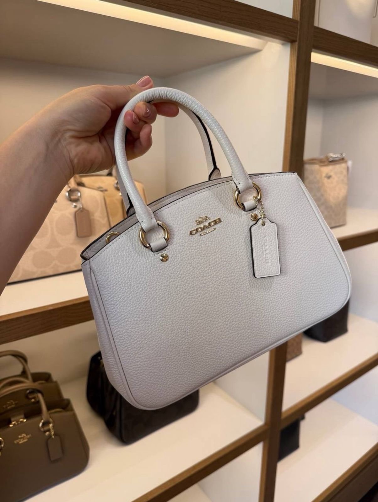 Coach Willow Tote Bag (white)