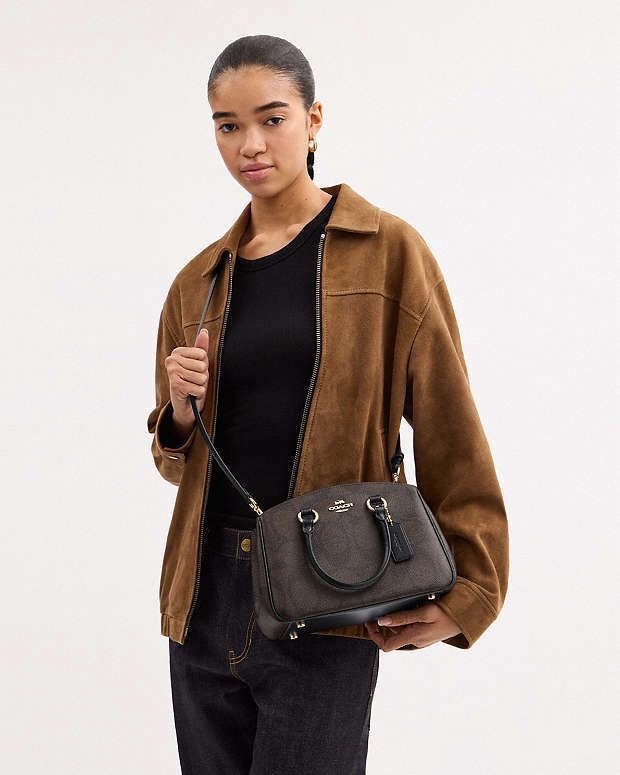 Coach Willow Tote Bag in Polished Pebble Leather – Elegant Everyday Carryall