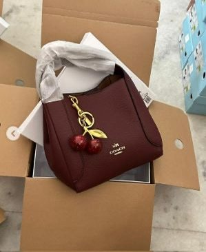 Coach Lana Cherry Tote Bag – Premium Designer Handbag